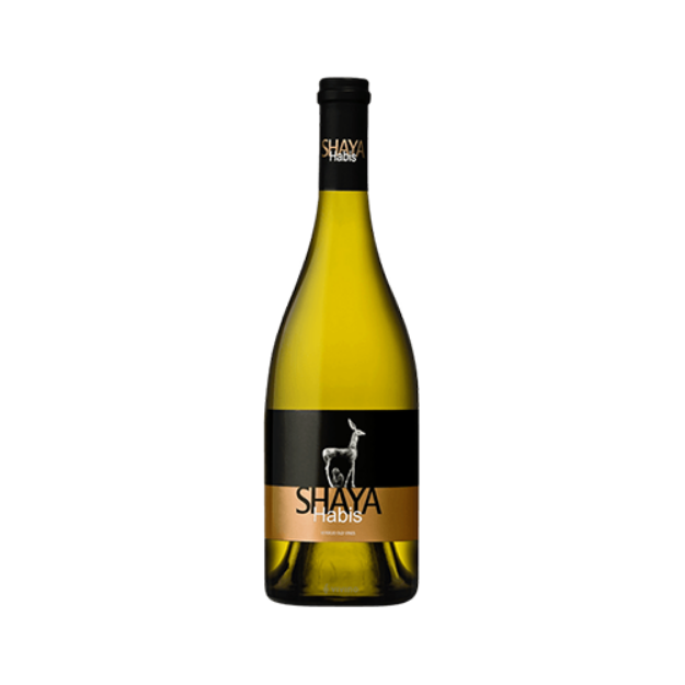 სურათი Shaya Habis - Bodegas y Vinedos SHAYA